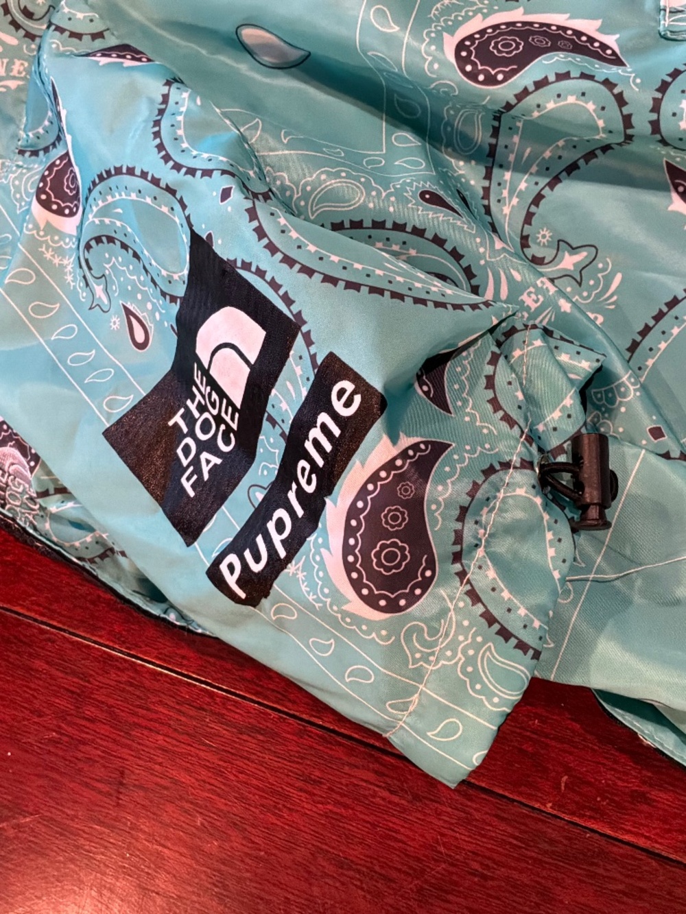 The Dog Face Light Rain Coat Paisley Pattern Teal with Hood and Velcro Closure - Picture 3 of 5